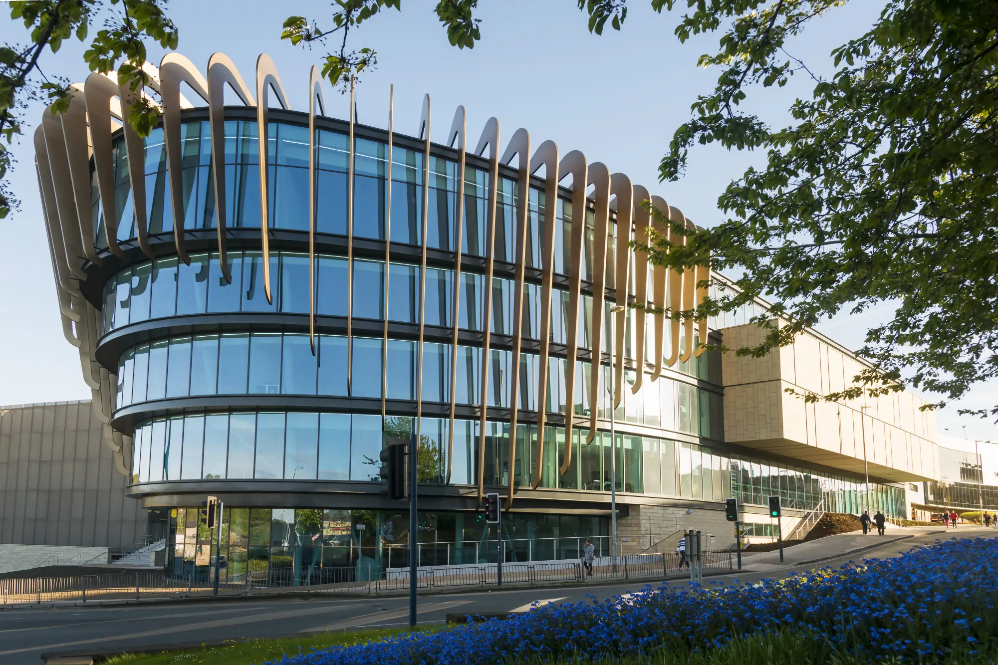 DLP_9772 HP David Lee Photography Ltd.jpg image